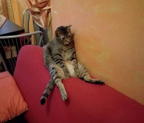 Мужчины решили коллективно пожаловаться на житейские проблемы (15 фото)