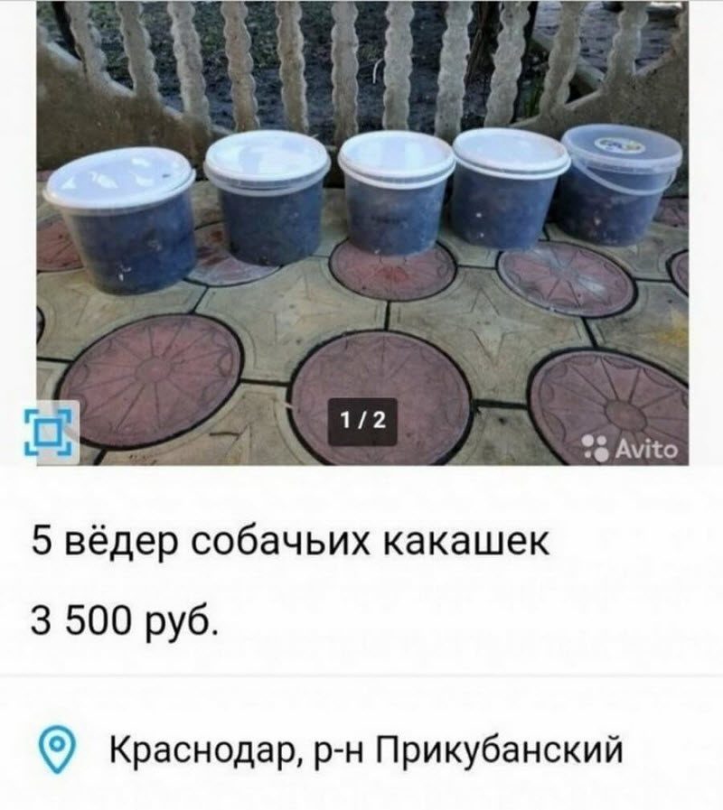 Смешные объявления с Авито: главное правильно представить (20 фото)
