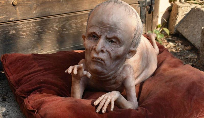 WTF: что тут происходит? (42 фото)