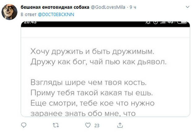 Смешные статусы пользователей в приложении для знакомств (17 фото)