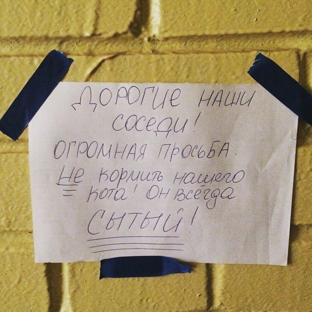 Смешные объявления о пропавших животных (13 фото) Смешные объявления о пропавших животных (13 фото)