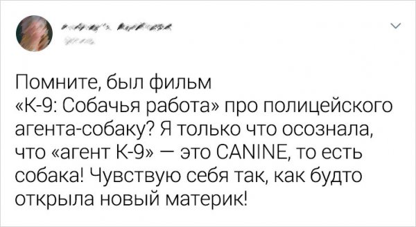 От этих пользователей ничего не утаишь (17 фото)