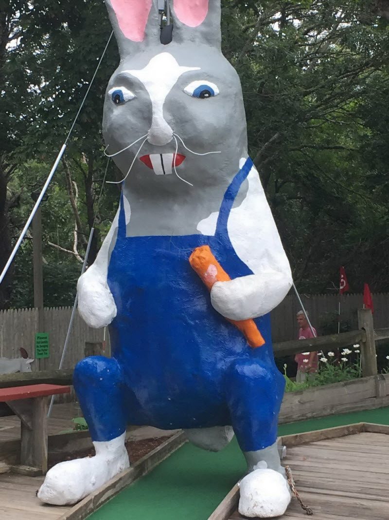 WTF: что тут происходит? (42 фото)