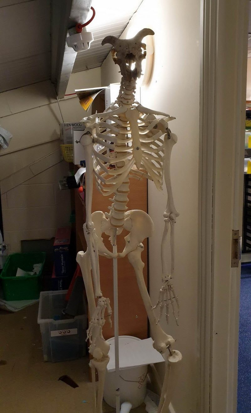 WTF: что тут происходит? (42 фото)