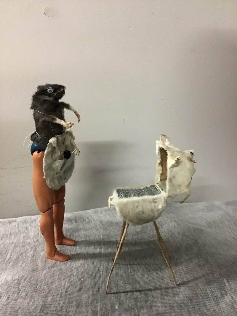 WTF: что тут происходит? (42 фото)