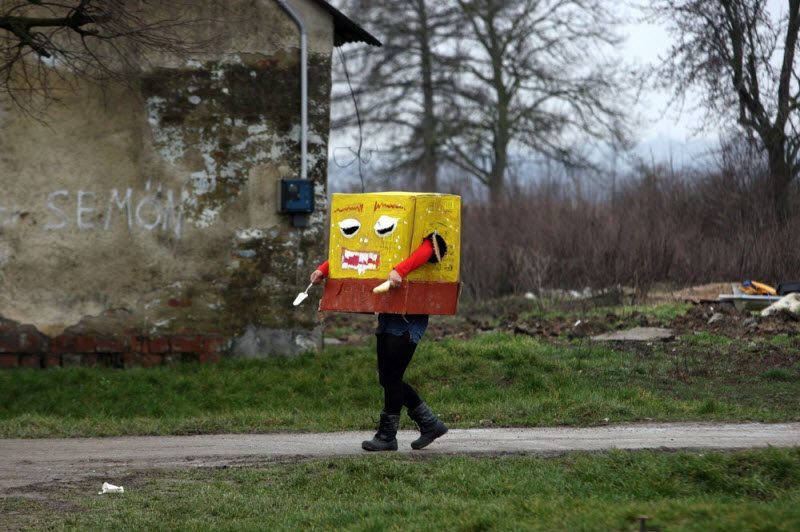 WTF: что тут происходит? (42 фото)