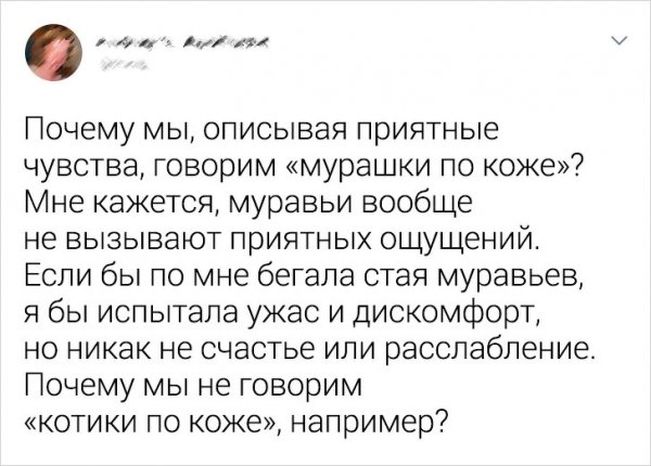 От этих пользователей ничего не утаишь (17 фото)