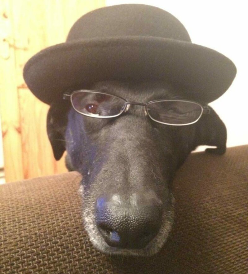 Девушка нашла хитрый способ отвадить назойливых мужчин (6 фото) Девушка нашла хитрый способ отвадить назойливых мужчин (6 фото)