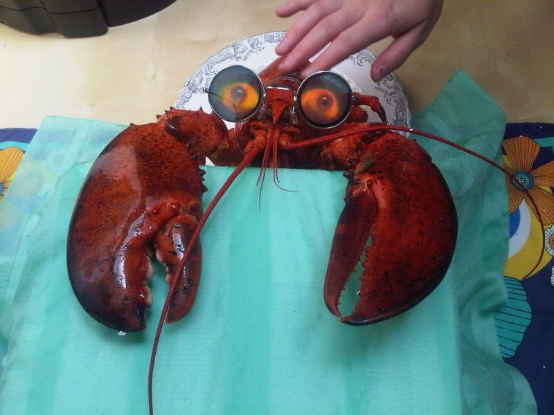 WTF: что тут происходит? (42 фото)