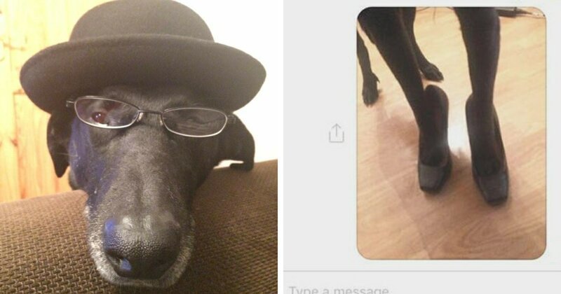 Девушка нашла хитрый способ отвадить назойливых мужчин (6 фото) Девушка нашла хитрый способ отвадить назойливых мужчин (6 фото)