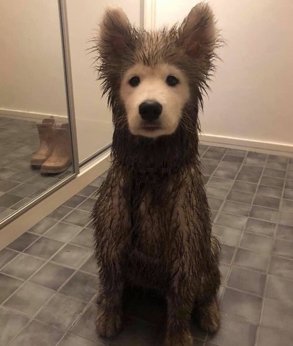 Мужчины решили коллективно пожаловаться на житейские проблемы (15 фото)