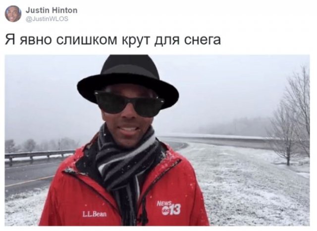 Журналист вышел в прямой эфир, забыв отключить фильтры на телефоне (6 фото + видео)