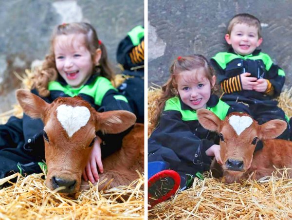 Подборка интересных и забавных совпадений (16 фото) Подборка интересных и забавных совпадений (16 фото)