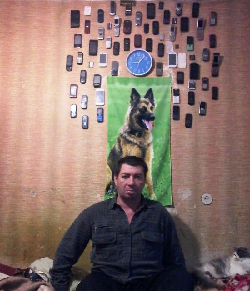 WTF: что тут происходит? (42 фото)