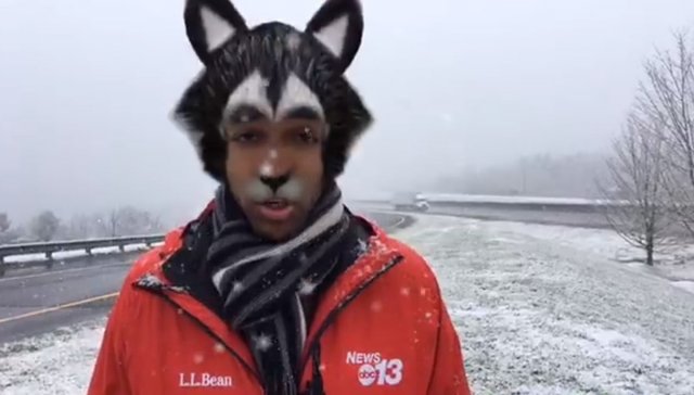 Журналист вышел в прямой эфир, забыв отключить фильтры на телефоне (6 фото + видео)