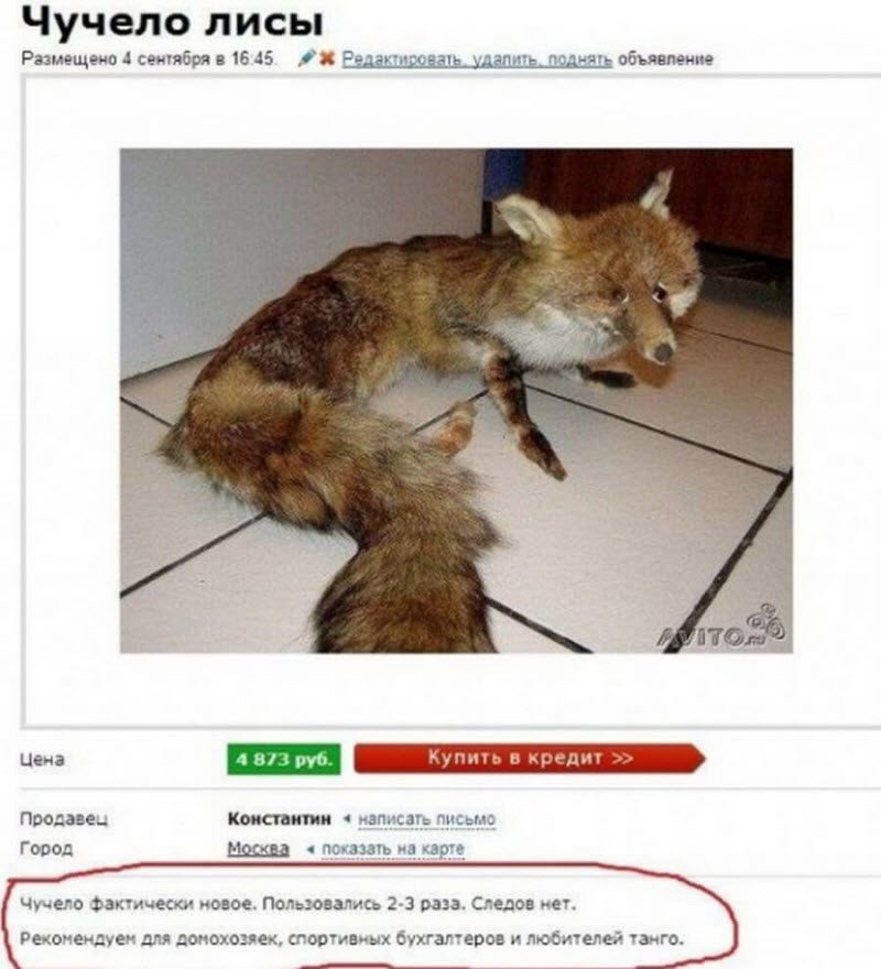 Смешные объявления с Авито: главное правильно представить (20 фото)