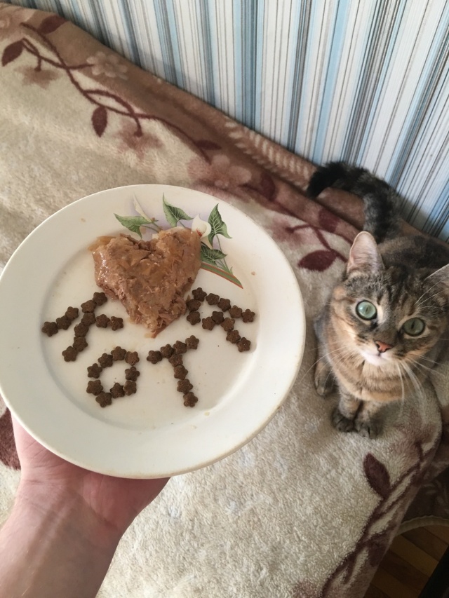 Шутки, юмор и комиксы про День святого Валентина 2020 (32 фото)