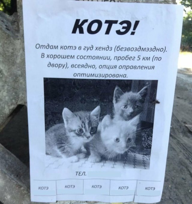 Смешные объявления о пропавших животных (13 фото) Смешные объявления о пропавших животных (13 фото)