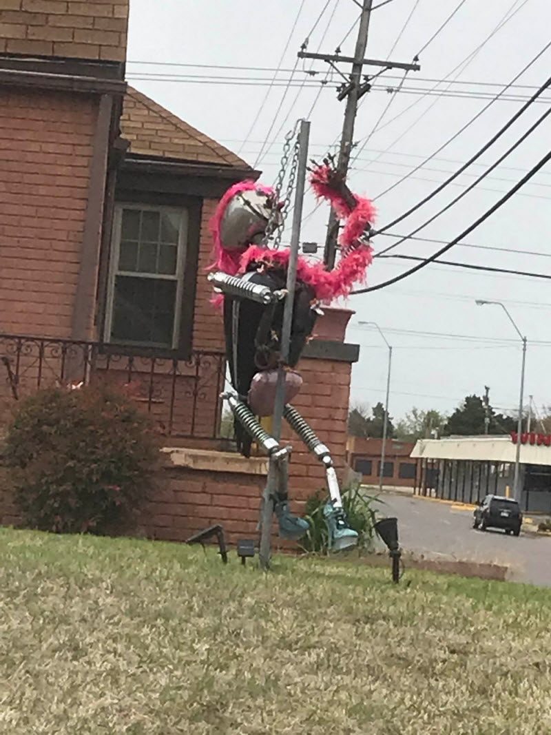 WTF: что тут происходит? (42 фото)