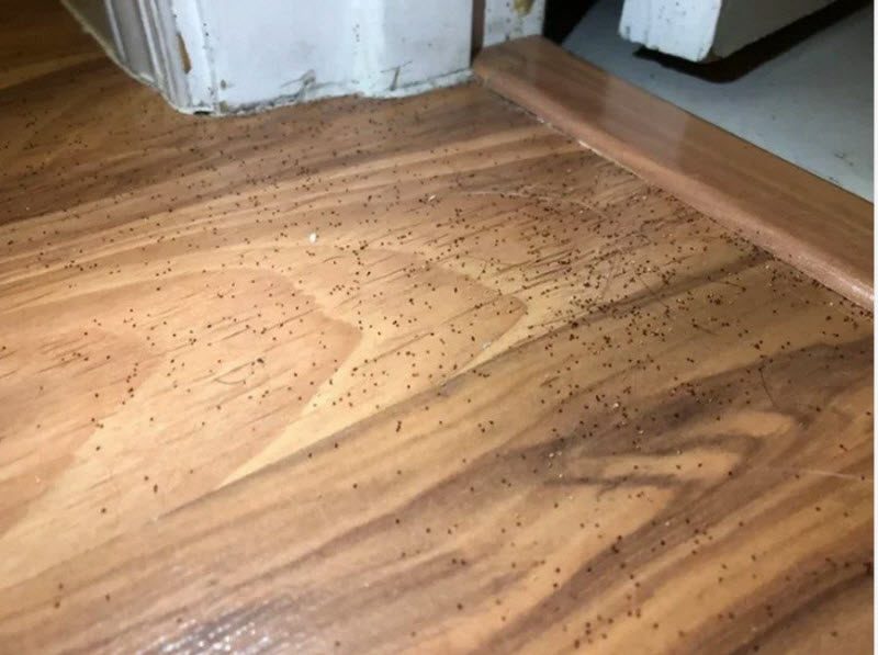 Что это за штука: самые странные находки (10 фото)