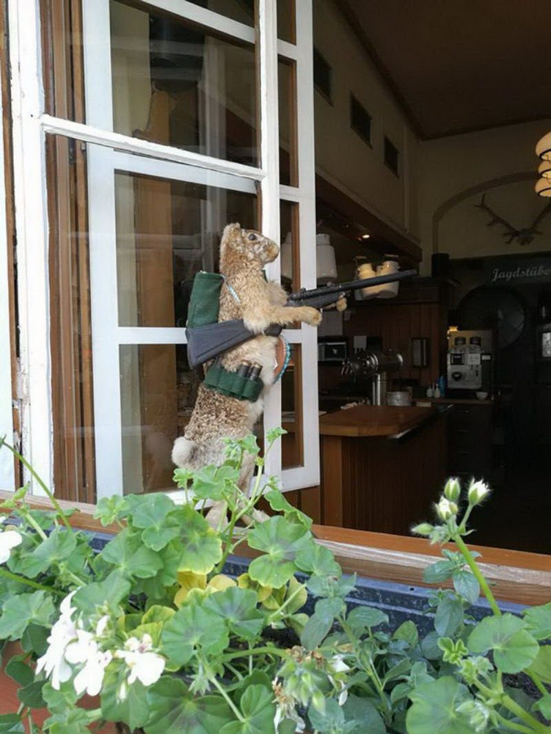 WTF: что тут происходит? (42 фото)