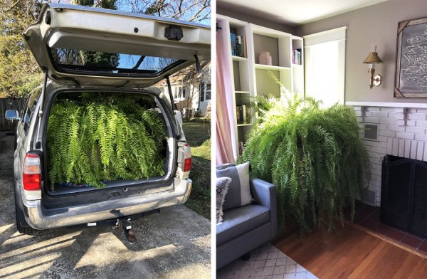 Мужчины решили коллективно пожаловаться на житейские проблемы (15 фото)