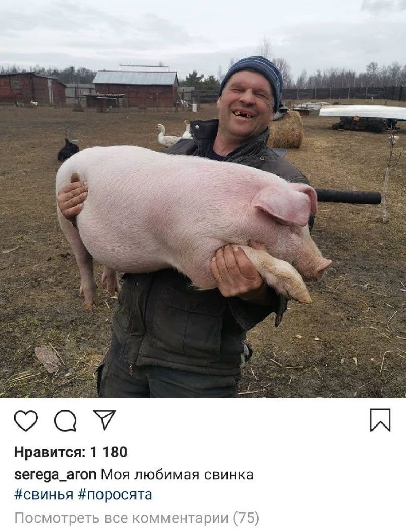 Инстаграм счастливого человека (4 фото)