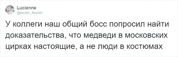 Тред в Твиттере: самые странные указания от начальства (20 фото)