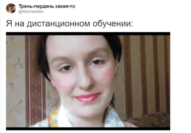Шутки про дистанционное обучение (15 фото)