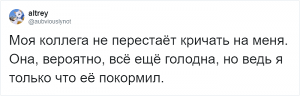 Тред в Твиттере: пользователи на карантине, описывают своих питомцев, будто это их коллеги (18 фото + 3 видео) Тред в Твиттере: пользователи на карантине, описывают своих питомцев, будто это их коллеги (18 фото + 3 видео)