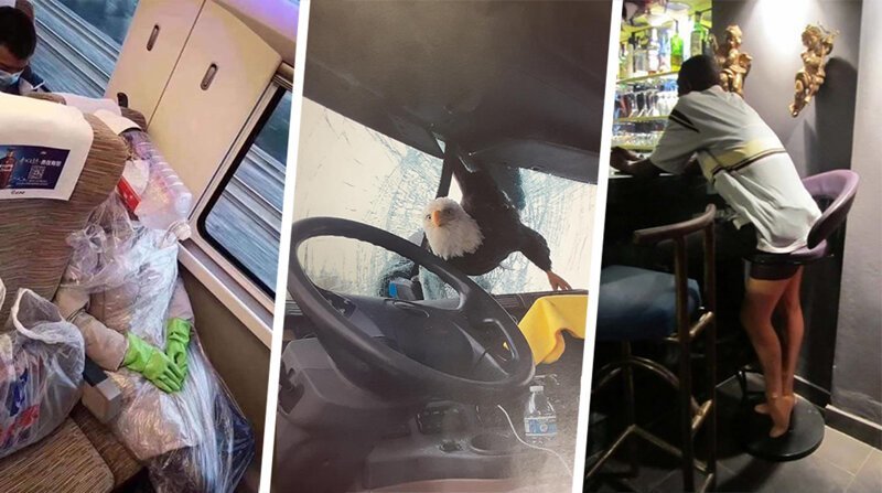 Снимки, на которых происходит неведомая дичь (13 фото)