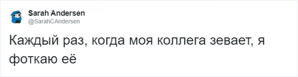 Тред в Твиттере: пользователи на карантине, описывают своих питомцев, будто это их коллеги (18 фото + 3 видео) Тред в Твиттере: пользователи на карантине, описывают своих питомцев, будто это их коллеги (18 фото + 3 видео)
