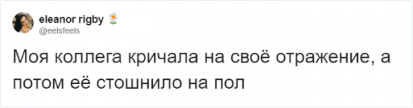 Тред в Твиттере: пользователи на карантине, описывают своих питомцев, будто это их коллеги (18 фото + 3 видео) Тред в Твиттере: пользователи на карантине, описывают своих питомцев, будто это их коллеги (18 фото + 3 видео)
