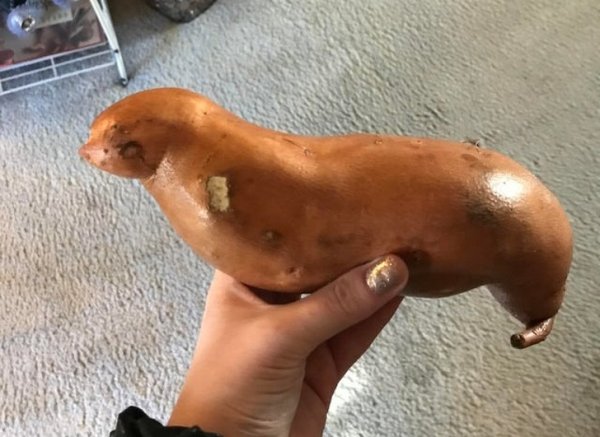 Подборка фото, в которые надо как следует вглядеться (18 фото) Подборка фото, в которые надо как следует вглядеться (18 фото)