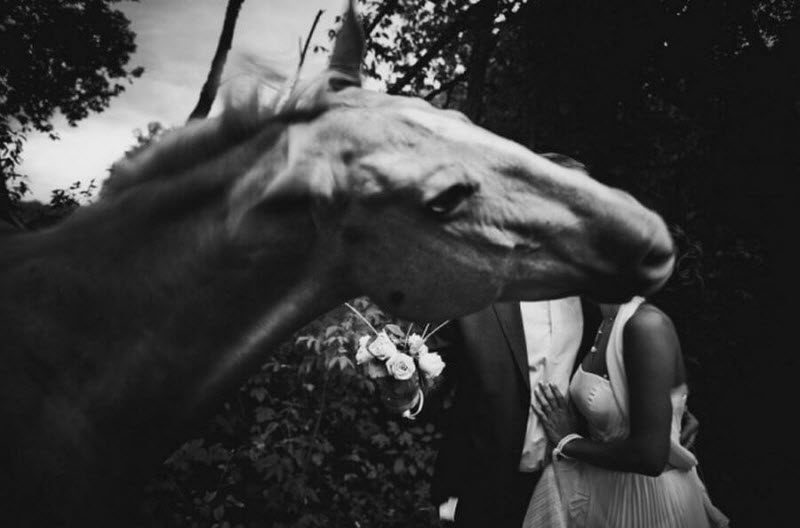 Когда свадебный фотограф творит от души, а получается как всегда (48 фото)