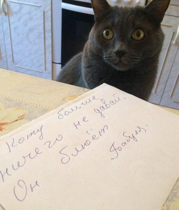 Нетривиальные записки с налётом убойности (15 фото)