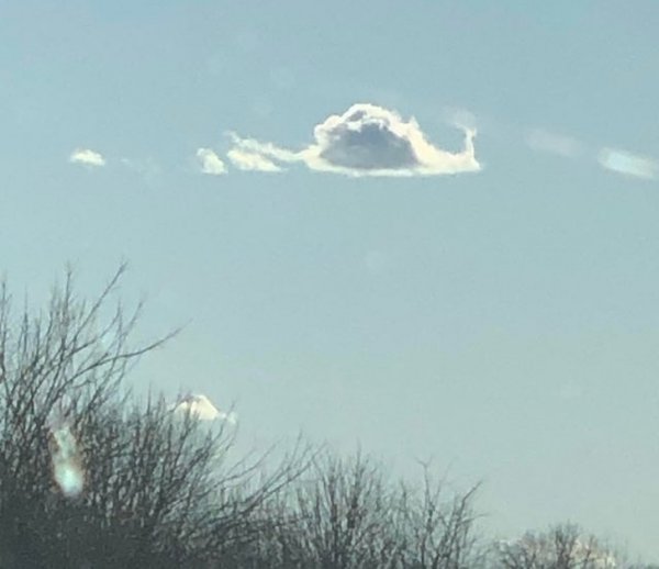 Подборка фото, в которые надо как следует вглядеться (18 фото) Подборка фото, в которые надо как следует вглядеться (18 фото)