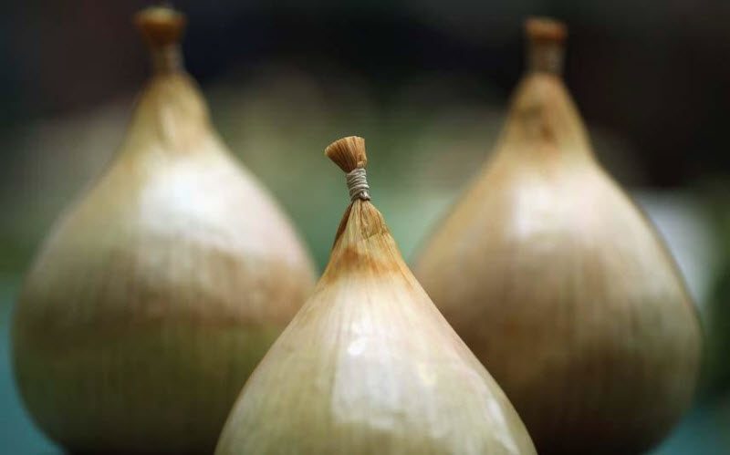 Неожиданные и странные находки таможенников (7 фото) Неожиданные и странные находки таможенников (7 фото)