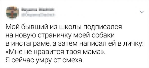 Жизненные твиты от людей, которые никак не могут забыть своих бывших (19 фото)