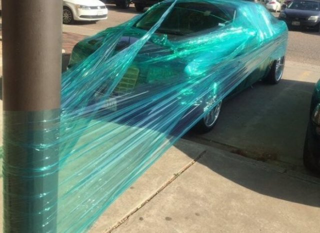 Фотографии из серии "Что здесь происходит?" (15 фото)