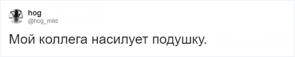 Тред в Твиттере: пользователи на карантине, описывают своих питомцев, будто это их коллеги (18 фото + 3 видео) Тред в Твиттере: пользователи на карантине, описывают своих питомцев, будто это их коллеги (18 фото + 3 видео)