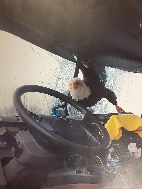 Снимки, на которых происходит неведомая дичь (13 фото)