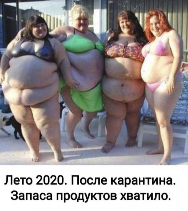 "Не знаю как насчет похудеть, но вот выжить к лету хотелось бы": пользователи в Сети шутят (17 фото)