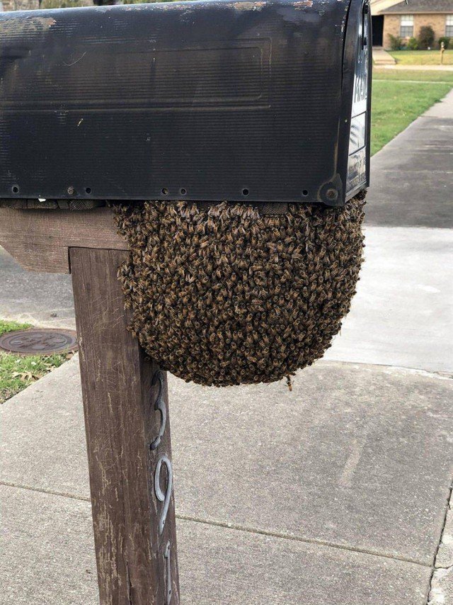 Неудачи, с которыми может столкнуться каждый (20 фото)