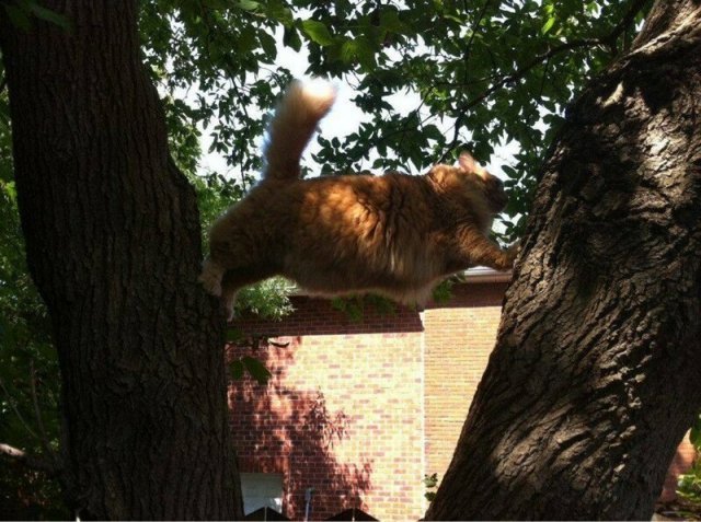 Подборка ситуаций, в которых людям не очень повезло (15 фото)