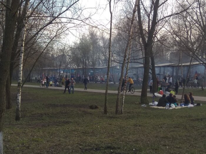 Реакция соцсетей на объявленную в России неделю выходных (16 фото)