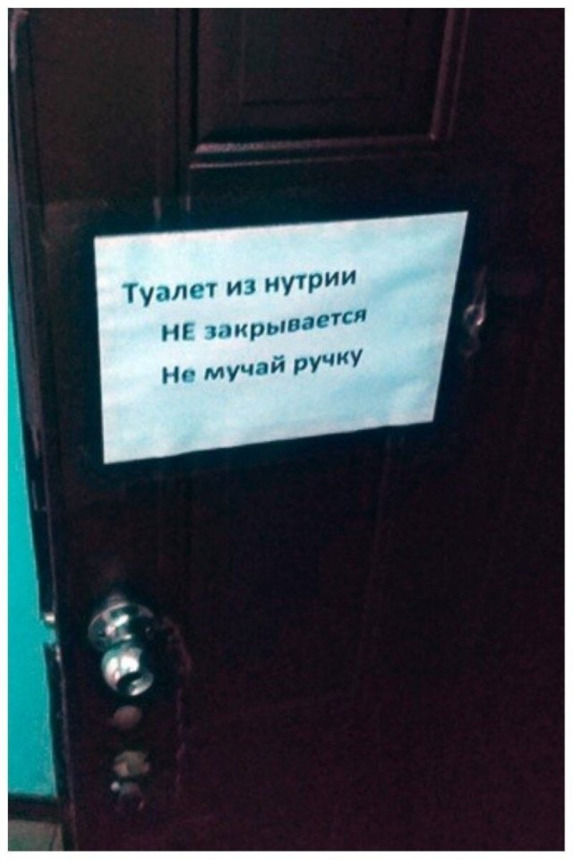 И снова немного про грамотность (17 фото)