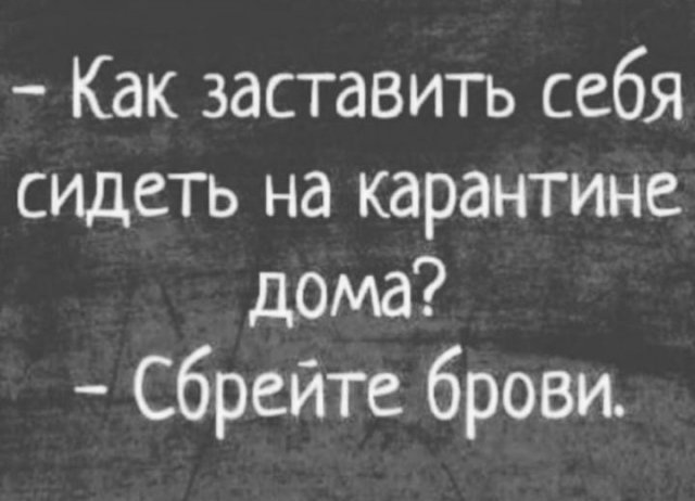 "Не знаю как насчет похудеть, но вот выжить к лету хотелось бы": пользователи в Сети шутят (17 фото)