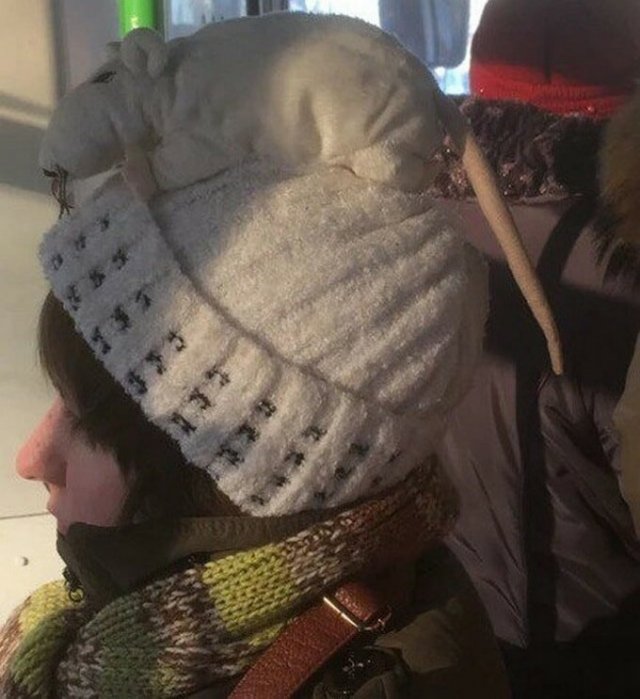 Фотографии из серии "Что здесь происходит?" (15 фото)