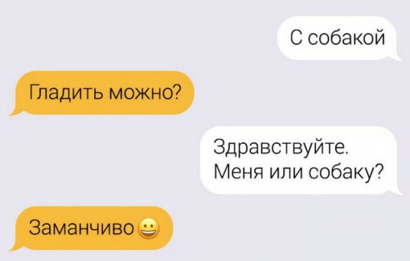 Таксисты и их пассажиры тоже шутят (17 фото)